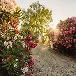 Gardenos מלון דירות 3*